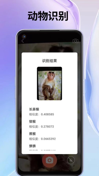 叮叮袋官方版 叮叮袋app下载