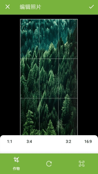 图片多拼接手机版