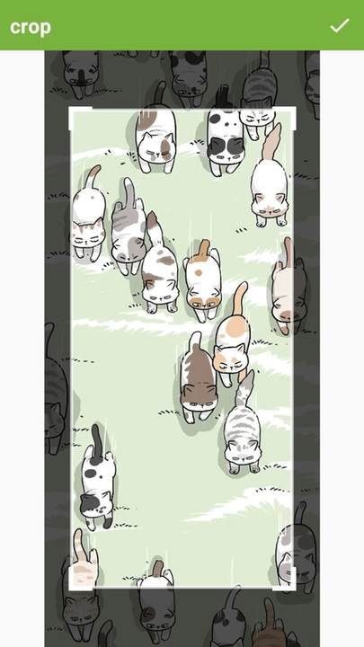 图片多拼接手机版