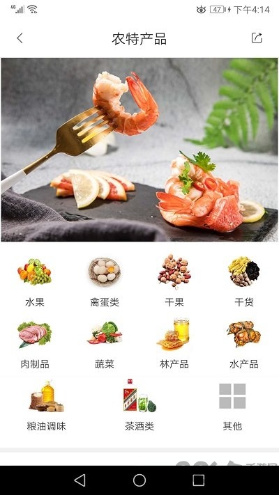 乡村旅居手机版