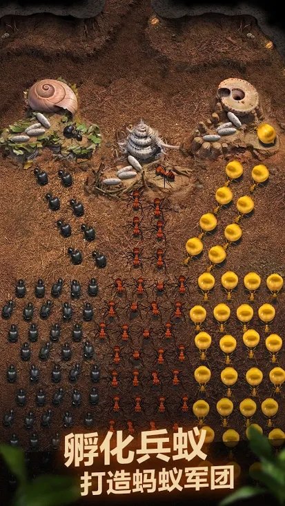 蚂蚁地下王国官方版 地下蚂蚁王国游戏下载