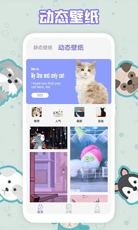 多多养猫助手app