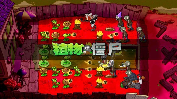植物大战僵尸骷髅版中文版