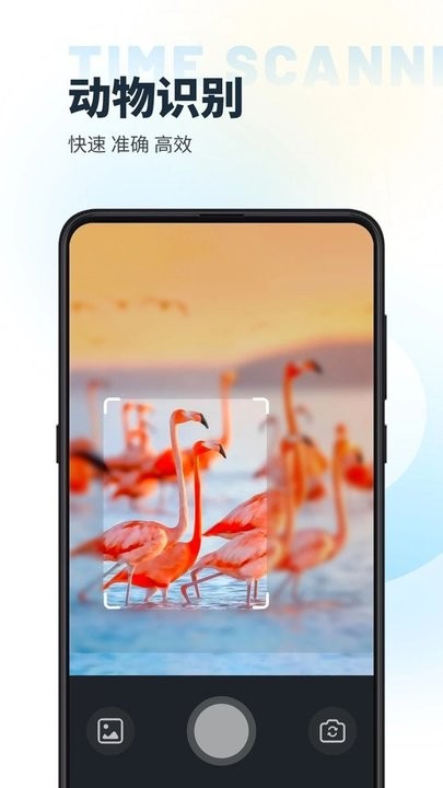 时间扫描软件最新版