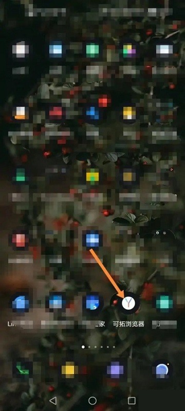 可拓浏览器如何开启强制网页缩放教程 可拓浏览器app如何开启强制网页缩放教程