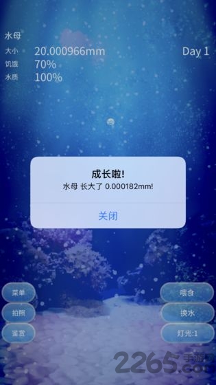 养育水母的治愈游戏中文版