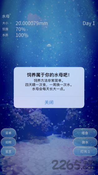 养育水母的治愈游戏中文版