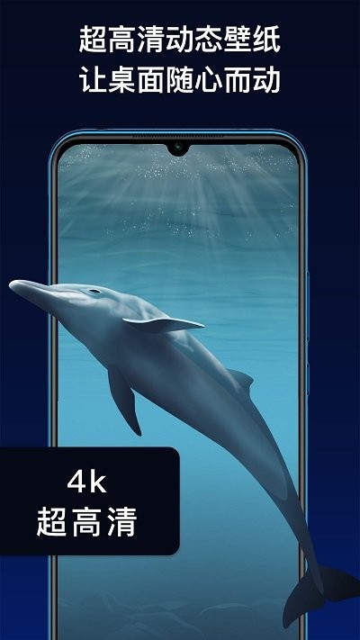 动态主题手机软件官方版