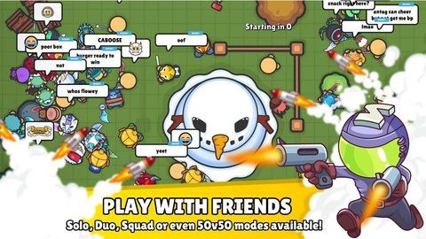 zombsroyale官方版