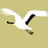 武汉非遗手机版