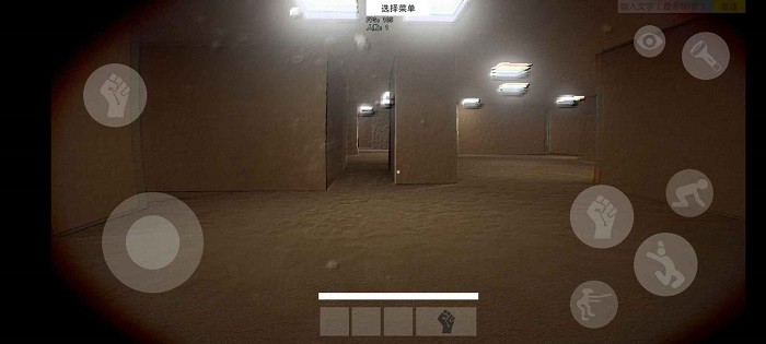 hs后室方舟游戏