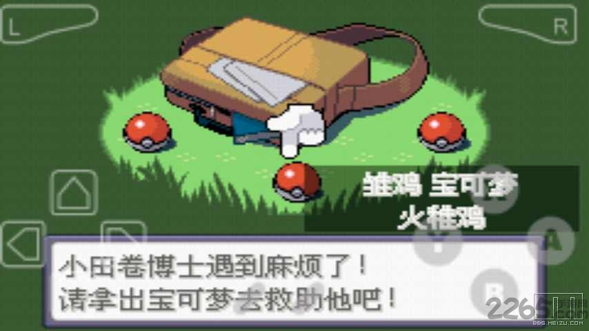 口袋妖怪绿宝石金手指代码手机版