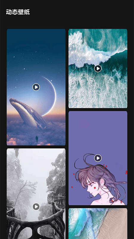 lr壁纸大全软件下载