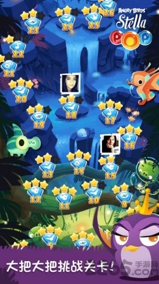 愤怒的小鸟思黛拉泡泡安卓破解版