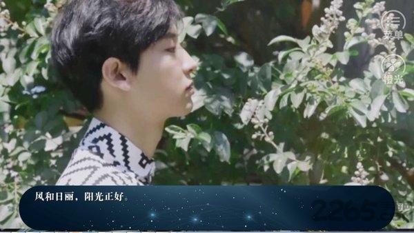 exo橙光游戏夜色无情