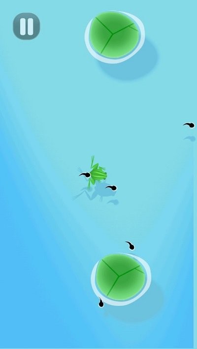 合成大锦鲤最新版