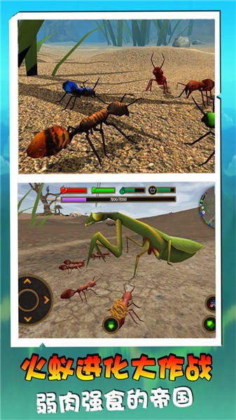 火蚁进化大作战免费版