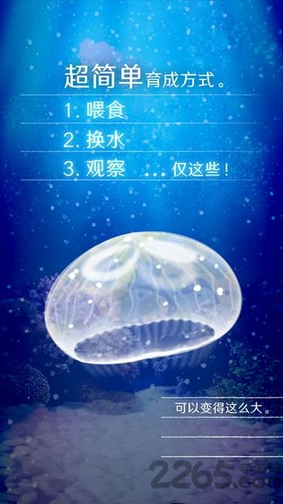 养育水母的治愈游戏中文版