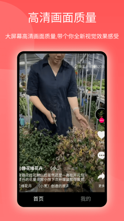 西柚短视频app