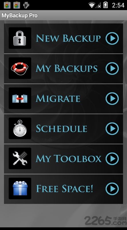 我的备份专业版