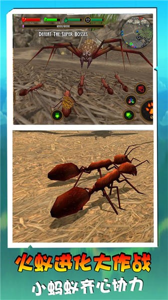 火蚁进化大作战免费版