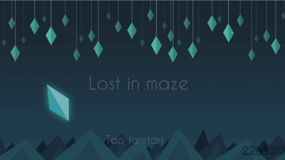 lost in maze官方版