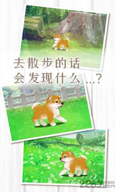柴犬养成治愈手游下载