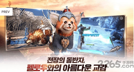 伊卡洛斯M 伊卡洛斯M国际服下载