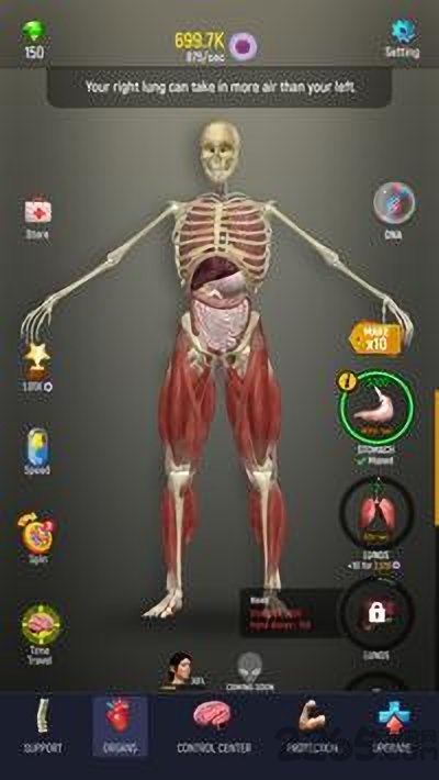 空闲人类手机版下载