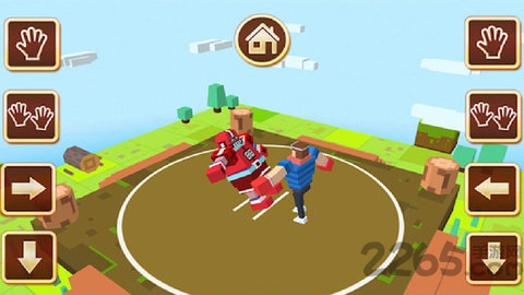 相扑格斗汉化版