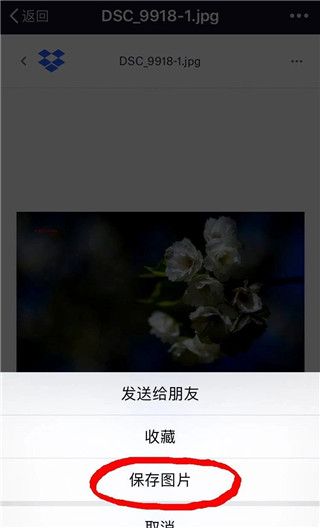 如何在Dropbox中下载保存图片 Dropbox保存图片教程