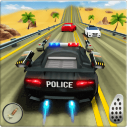 police highway chase下载-手机版下载最新版
