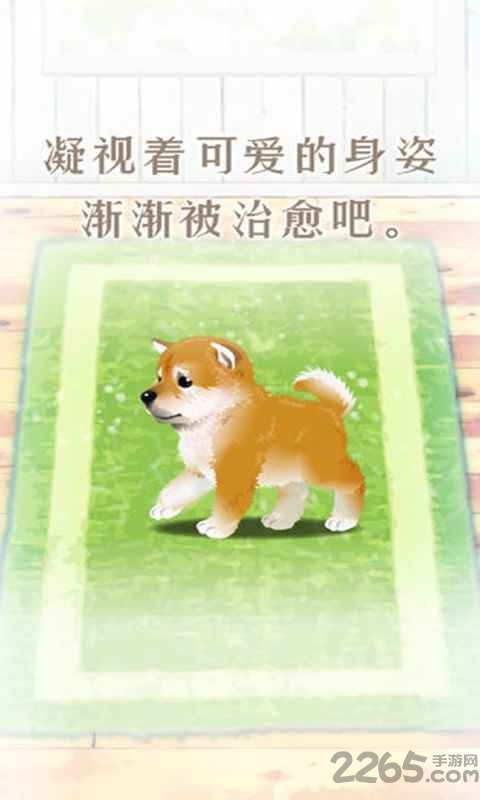 养育柴犬的治愈游戏