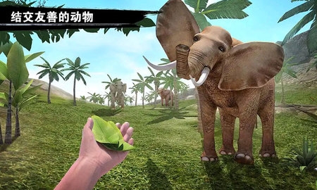 求生岛之旅游戏