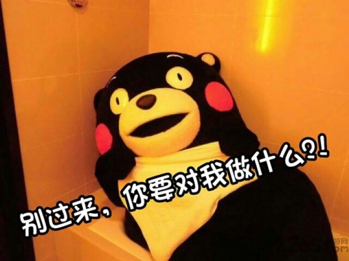 熊本熊图片手机壁纸