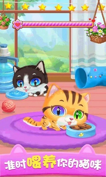 猫咪公主游戏