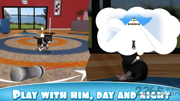 虚拟宠物猫游戏