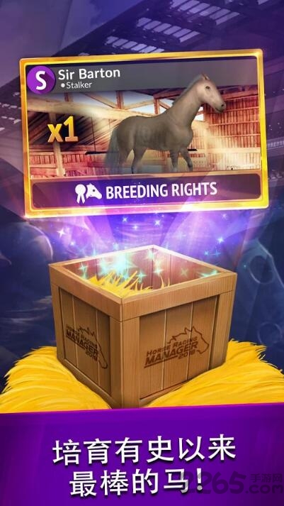 2018年度赛马经理手机版