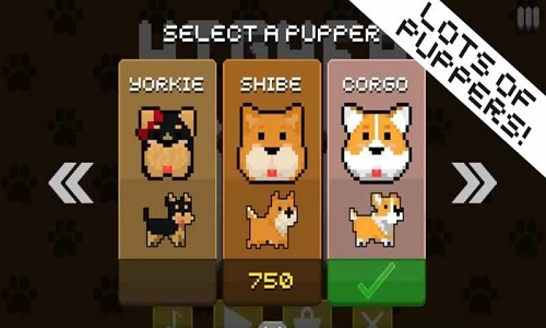 白日梦小狗手游 白日梦小狗游戏