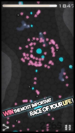 游泳蝌蚪华为版下载