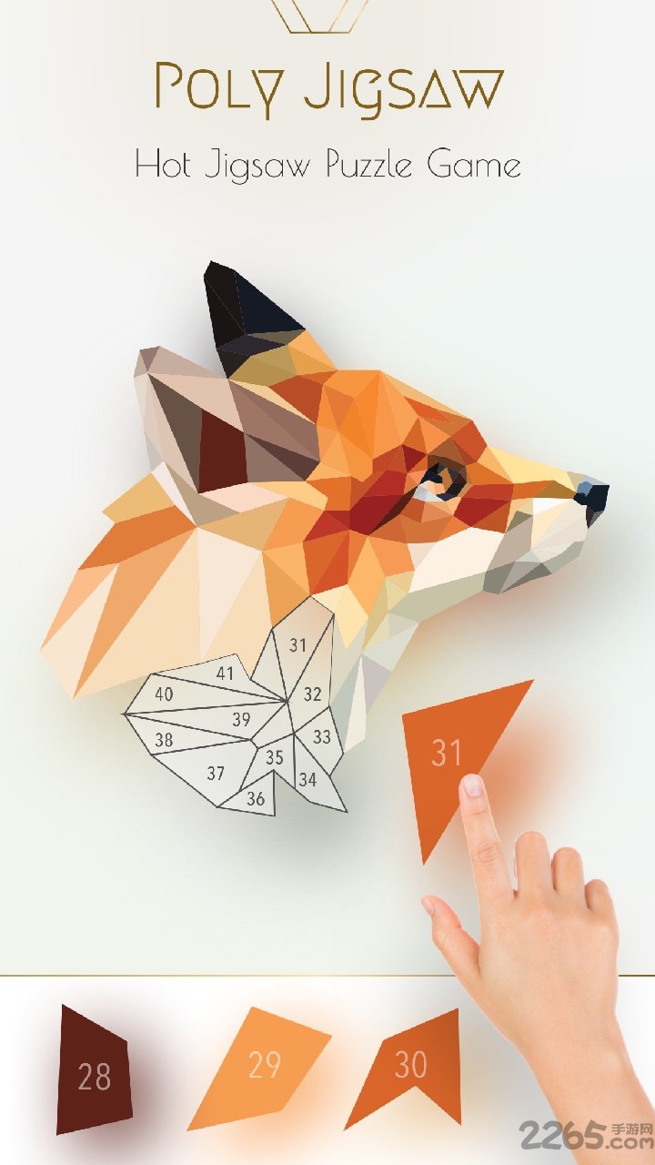 polyjigsaw趣拼图游戏