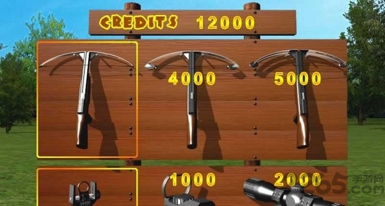 豪华射弩手机版