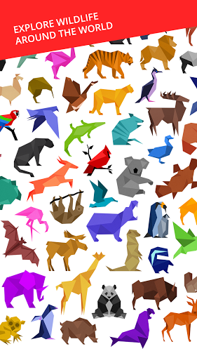 红雀之地中文破解版