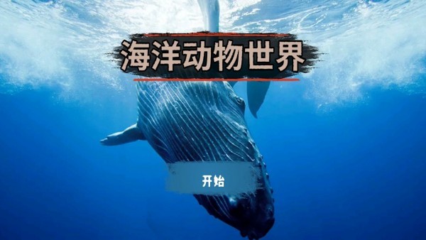 海洋动物世界官方版