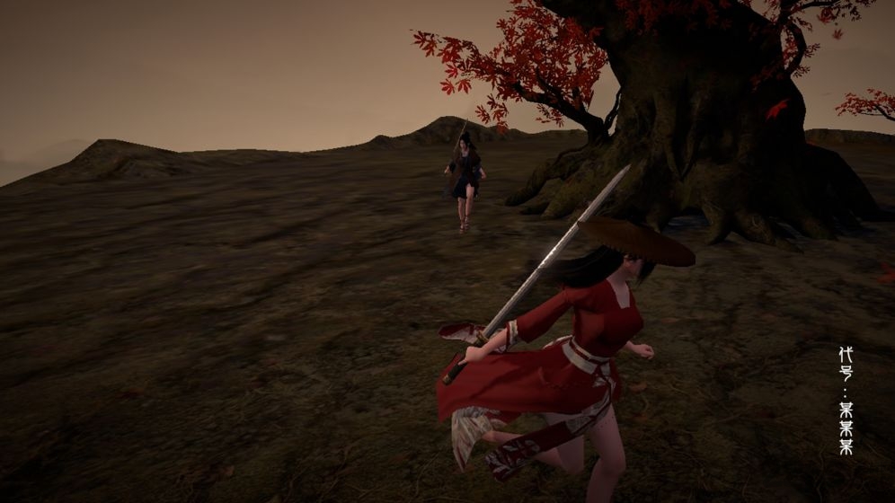 代号某某某联机版