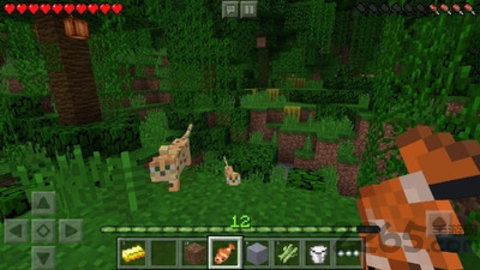 我的世界夏季版游戏 我的世界夏季版汉化下载