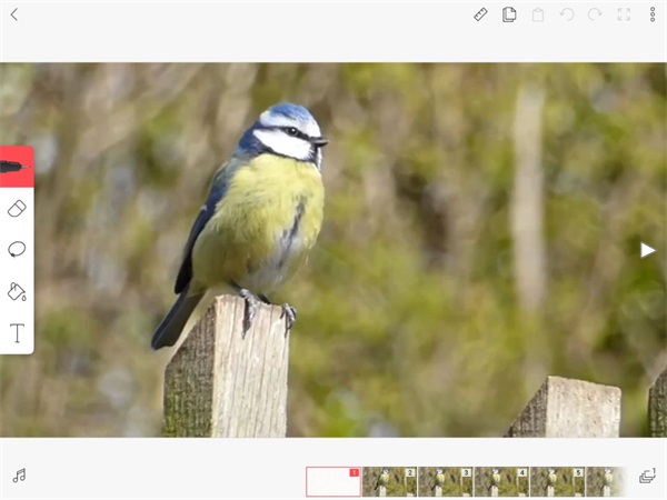 FlipaClip动画制作教程 FlipaClip动画制作教程