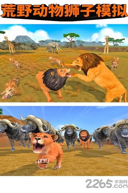 荒野动物狮子模拟手机版 荒野动物狮子模拟官方版
