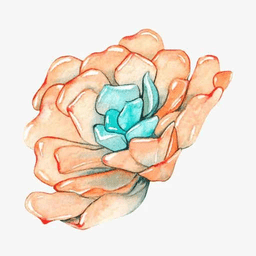 小墨多肉日记官方下载-小墨多肉日记最新版免费下载v1.0 安卓版