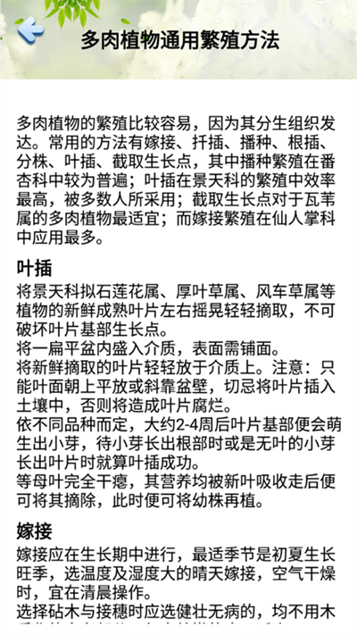 小墨多肉日记最新版下载